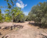 Venta - Chalet - Elche pedanias - Alzabares