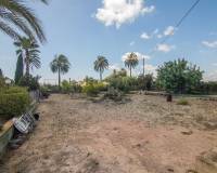 Venta - Chalet - Elche pedanias - Alzabares