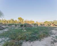 Venta - Chalet - Elche pedanias - Llano de san jose