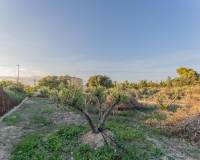 Venta - Chalet - Elche pedanias - Llano de san jose