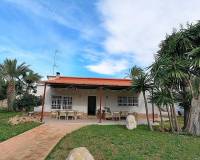 Venta - Chalet - Elche pedanias - PEÑA LAS AGUILAS