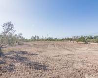 Venta - Chalet - Elche pedanias - xLas bayas