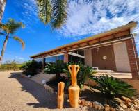 Venta - Chalet - Jacarilla