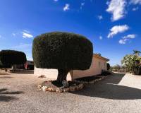 Venta - Chalet - Jacarilla