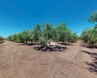 Venta - Chalet - Las bayas - Baya Baja