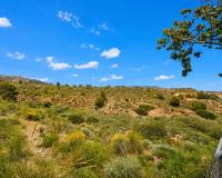 Venta - Chalet - Novelda - HORNA ALTA