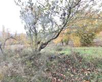 Venta - Chalet - Riopar - Castilla la mancha