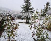 Venta - Chalet - Riopar - Castilla la mancha