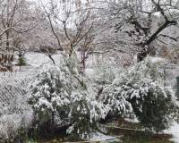 Venta - Chalet - Riopar - Castilla la mancha