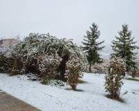 Venta - Chalet - Riopar - Castilla la mancha