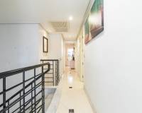 Venta - Dúplex - Elche - Centro