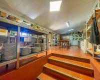 Venta - Finca rústica - Caceres - CACERES