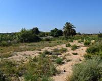 Venta - Finca rustica - Elche