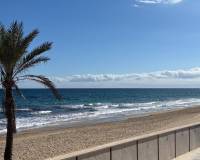 Venta - Local comercial - Arenales del sol - Arenales del Sol