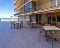 Venta - Local comercial - Arenales del sol - Arenales del Sol