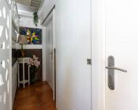 Venta - Local comercial - Arenales del sol - Arenales del Sol