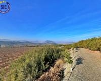Venta - Parcela - Barxeta - BARXETA