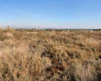 Venta - Parcela - Elche pedanias - LA MARINA