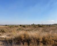 Venta - Parcela - Elche pedanias - LA MARINA