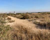 Venta - Parcela - Elche pedanias - LA MARINA