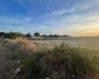 Venta - Parcela - Elche
