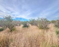 Venta - Parcela - Matola - Algoda-Matola-Llano de San José