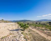 Venta - Parcela - Pinoso - CULEBRON