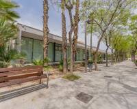 Venta - Piso - Elche - Carrús Este