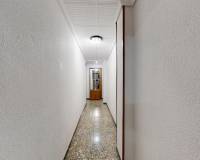 Venta - Piso - Elche - Carrus