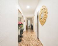 Venta - Piso - Elche - Carrus