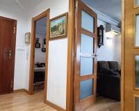 Venta - Piso - Elche - Centro