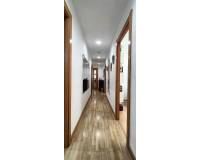 Venta - Piso - Elche - Centro