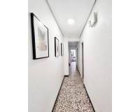 Venta - Piso - Elche - Centro