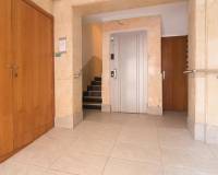 Venta - Piso - Elche - Corazon de Jesus