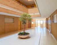 Venta - Piso - Elche - Playa arenales del sol