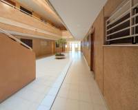 Venta - Piso - Elche - Playa arenales del sol