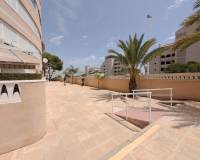 Venta - Piso - Elche - Playa arenales del sol