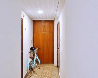 Venta - Piso - Elche - Plaza Crevillente-Juzgados