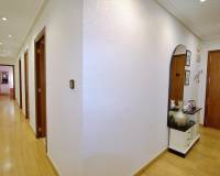 Venta - Piso - Elche - Plaza Crevillente-Juzgados