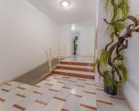 Venta - Piso - Elche - Plaza Crevillente-Juzgados