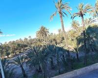 Venta - Piso - Elche - Torreta - Portalada