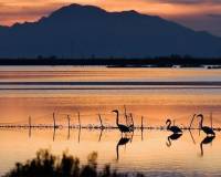 Venta - Piso - Santa Pola - Centro