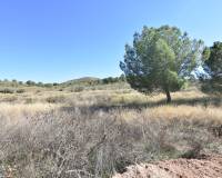 Venta - Solar - Lietor - Castilla la mancha