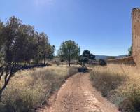 Venta - Solar - Lietor - Castilla la mancha