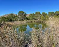 Venta - Solar - Lietor - Castilla la mancha