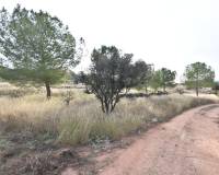 Venta - Solar - Lietor - Castilla la mancha