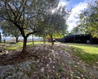 Venta - Solar - Torremenga - Extremadura