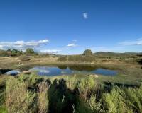 Venta - Solar - Torremenga - Extremadura
