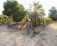 Venta - Terreno rural - Elche pedanias - LA MARINA