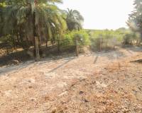 Venta - Terreno rural - Elche pedanias - LA MARINA